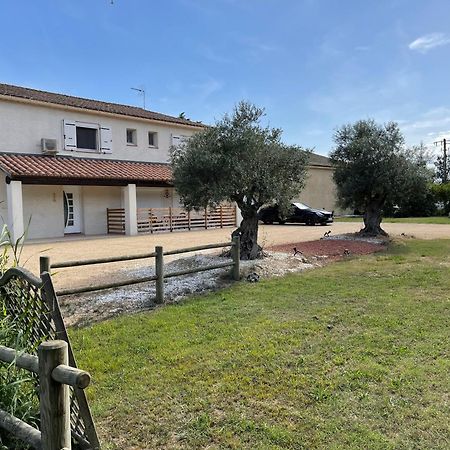 Studio 40M2 Avec Terrasse Le Mas De Lauriane サントマリー・ド・ラメール エクステリア 写真